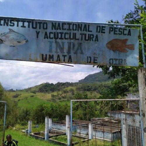 AUTORIDAD NACIONAL DE ACOLTURA Y PESCA AUNAP