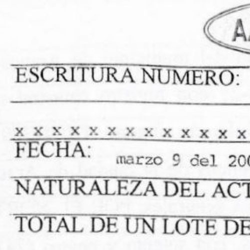 SOCIEDAD DE ACTIVOS ESPECIALES