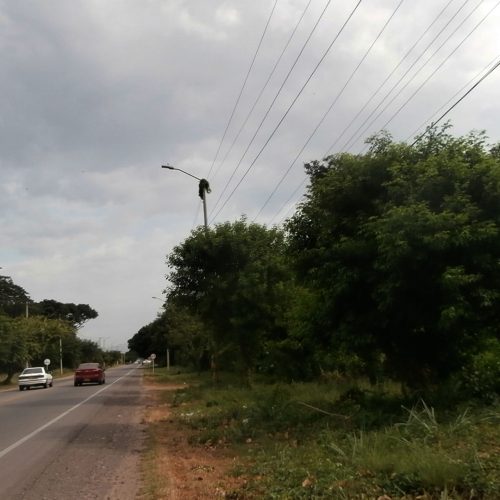 CONSTRUCCIONES EL CÓNDOR S.A.– C.L.I.B