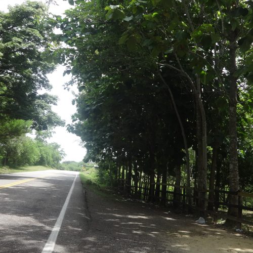 CONSORCIO ALIADAS PARA EL PROGRESO – C.L.I.B