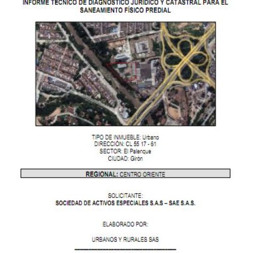 SOCIEDAD DE ACTIVOS ESPECIALES