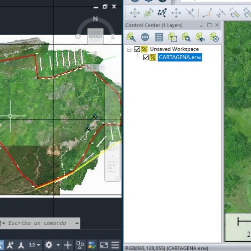 SOCIEDAD DE ACTIVOS ESPECIALES: