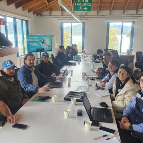 GRUPO ENERGIA BOGOTA: